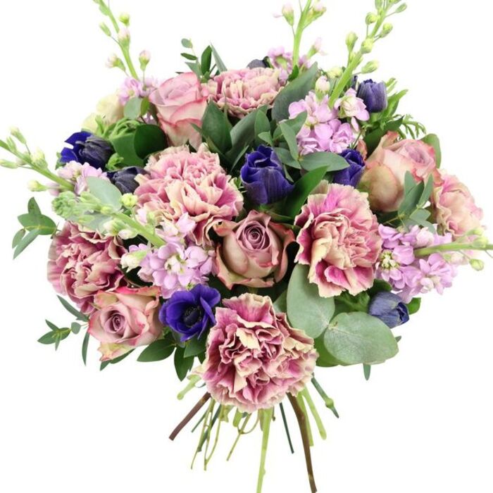A richly detailed floral bouquet is captured against a spotless white background, every stem and petal clearly visible, highlighting the craftsmanship of a skilled Osidge florist. At the centre sit large, luxurious garden roses whose blooms range from powdery blush pink to smoky dusty mauve and antique rose, their densely layered petals curling outward in classic, romantic spirals. These are surrounded by an abundance of ruffled carnations, each flower a small work of art: creamy, pale interiors seamlessly deepen into blush tones and finish with vibrant fuchsia or plum-pink edges, creating a soft yet dramatic halo of colour and texture. Interspersed through the pinks are deep indigo and royal blue flowers, some still in tight, tulip-like buds, their velvety petals adding a cool, jewel-toned contrast that immediately catches the eye. Near the lower front of the bouquet, an open royal blue anemone with a near-black centre provides a striking focal point, its simple, flat petals contrasting beautifully with the frills of the carnations and the curls of the roses. Delicate spires of lilac and pale lavender stock rise lightly above and between the main blooms, their multiple tiny blossoms along slender stems injecting a sense of height, softness, and gentle movement. All of this is cushioned by fresh green foliage: broad, glossy dark leaves and the unmistakable silvery-green discs of eucalyptus, whose slightly frosted appearance and aromatic quality can almost be sensed from the picture. The stems are gathered and tied neatly at the bottom, suggesting a freshly prepared bouquet ready to be carried along Chase Side or delivered to a home near Brunswick Park. The overall mood is elegant and comforting, perfect for occasions such as anniversaries, birthdays, sympathy tributes, or as a refined piece of floral décor in an Osidge living room.