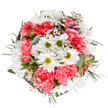 This radiant bouquet embodies Osidge's sense of renewal and celebration, with cheerful white daisies blooming alongside plush coral-pink carnations amid wisps of ethereal gypsophila. Captured from above, the white petals fan out around lime-green centers, creating luminous focal points that echo the clarity of Osidge's open green spaces. Warm, textured carnations infuse the arrangement with a welcoming burst of colour, their ruffles adding gentle movement and vibrancy. Baby's breath, like a scattering of spring stars, softens the bouquet with its airy, delicate touch, while slender alstroemeria buds, tinged in purple-pink, are poised to open-hinting at the unfolding stories woven through Osidge's local life. Eucalyptus leaves, in matte silvery-green, and deep verdant sprigs form a gentle, grounding base, balancing the lively floral tones above. The arrangement's full, expertly rounded shape speaks to thoughtful local craftsmanship, making it a heartfelt expression for birthdays, Mother's Day, or simply to bring a fresh sense of calm to a neighbour's home. With its fresh, uplifting palette and soothing scent, this bouquet translation of Osidge's tranquil energy is ideal for both everyday moments and life's special celebrations, beautifully reflecting the community's vibrant yet peaceful character.